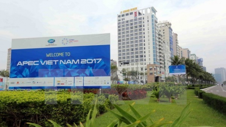 APEC 2017: Russia backs host Vietnam’s priorities