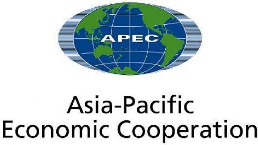 APEC 2017: Vietnam makes positive contributions to APEC