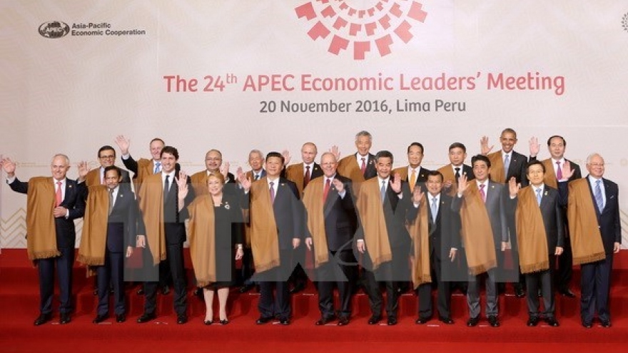 Hosting APEC Year 2017 – centre of Vietnam’s external activities