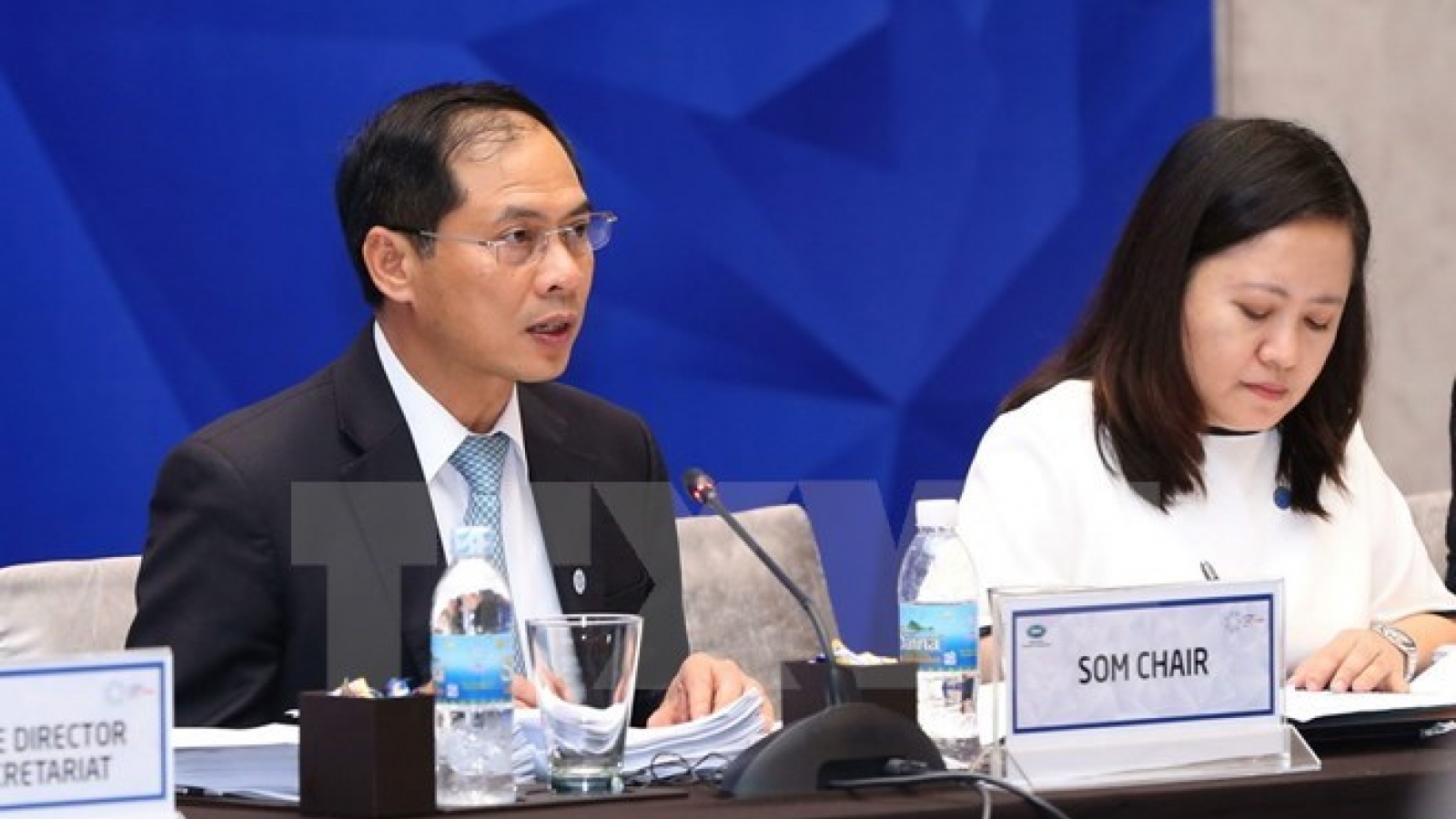 APEC committees contribution to help fulfill Bogor goals official
