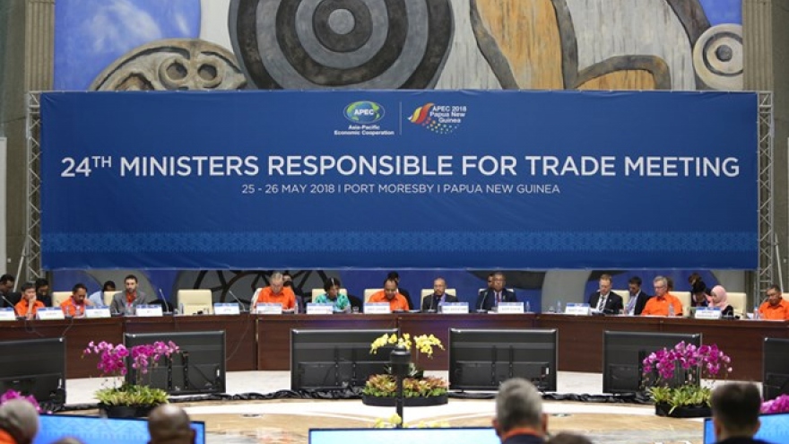 APEC trade ministers fail to agree on multilateral trade system