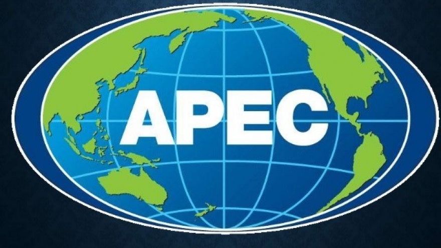 
        APEC 2017 to turn challenges into driving force
                              