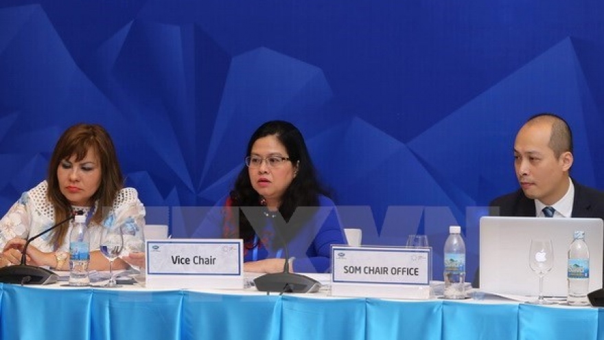 APEC group applauds Vietnam’s theme, priorities