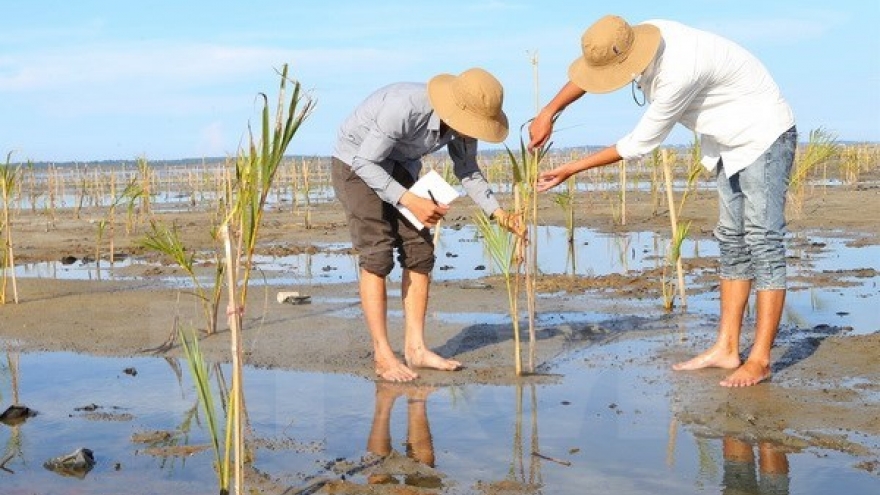 Vietnam asserts role in ASEAN cooperation in environment