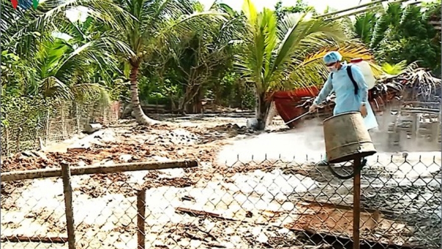 Tra Vinh province endures complicated developments in ASF cases 