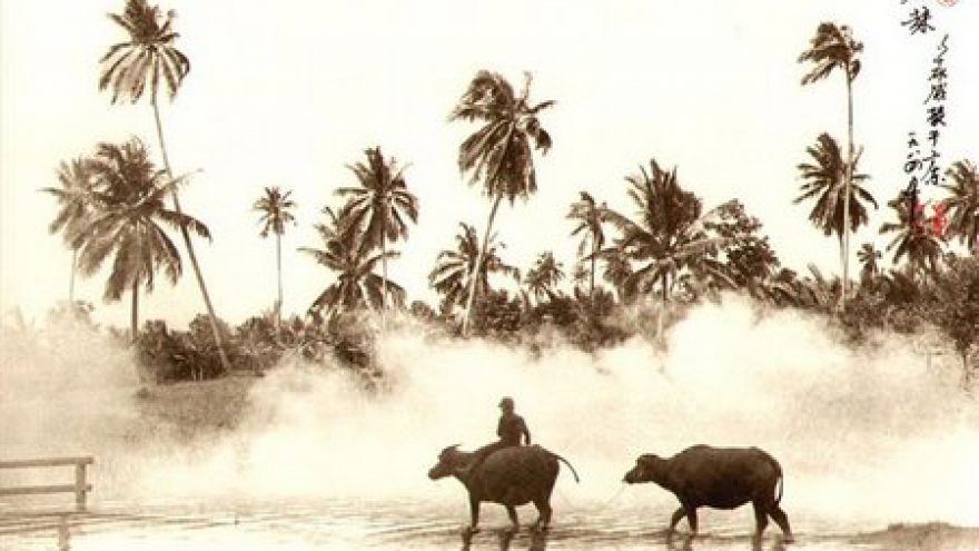 Vietnam’s magnificent scenery in focus 