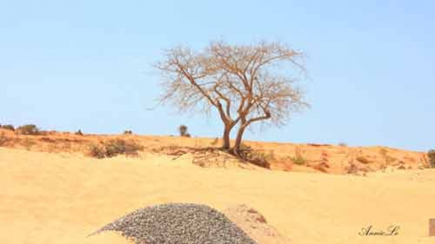 The peaceful coastal city of Phan Thiet 