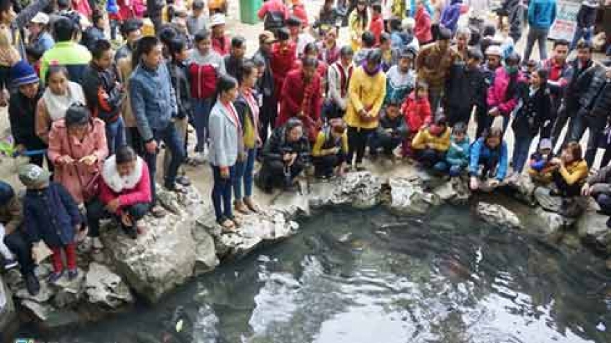 People flock to God Fish Stream to wish for luck