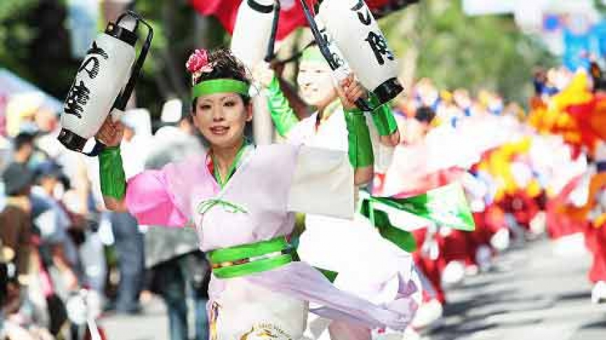 
        Japanese cherry blossom festival to open in Hanoi
                          
                      