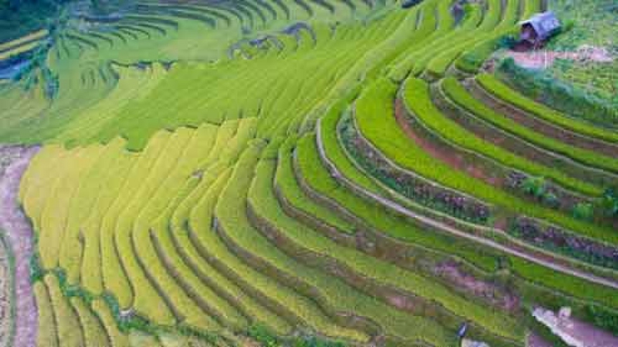 Photos of Vietnam that’ll make you want to move here