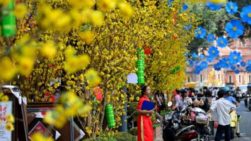 Families busily make last minute plans for TET 