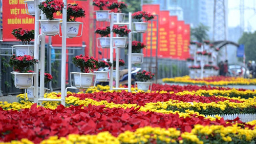 Year of the Monkey energizes, revitalizes Hanoi