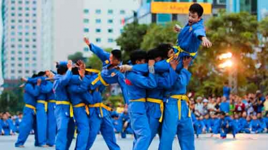 Vovinam performance on Nguyen Hue walking street