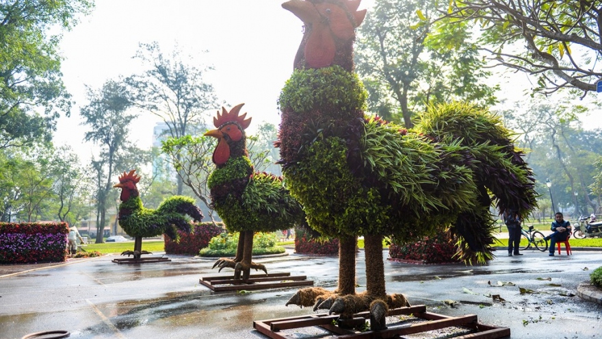 Plants shaped into 12 animal designations to welcome TET