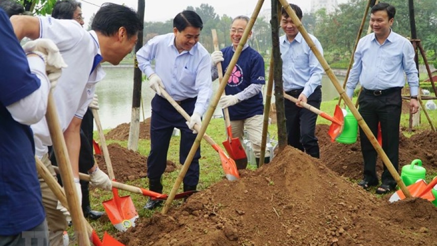 Additional 1,000 cherry blossom trees planted in Hanoi park
