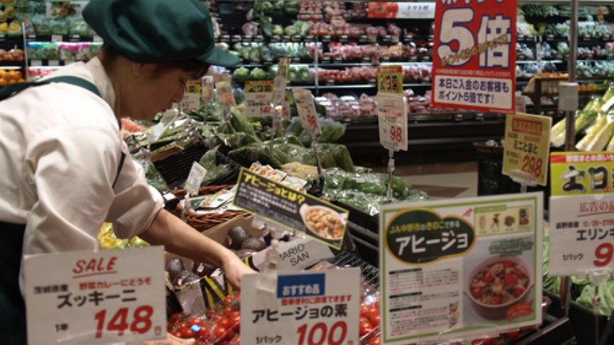 Vietnam-Japan investment ties remain robust