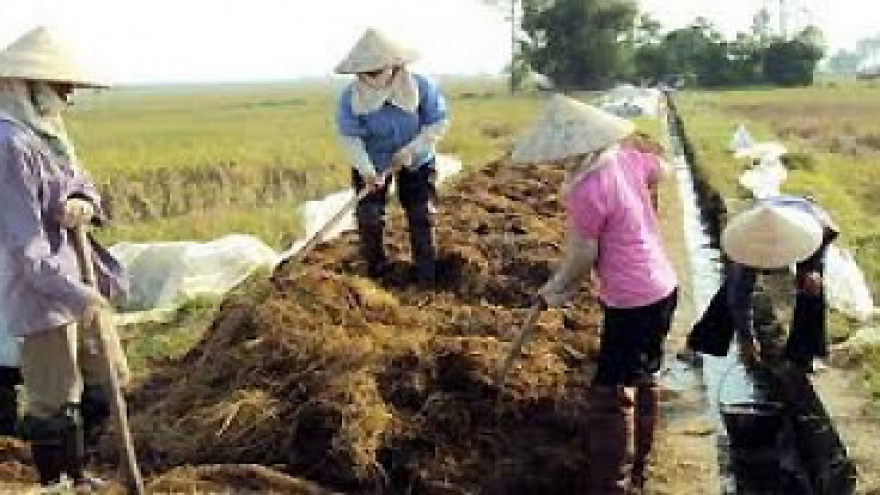 Dutch funding advances Vietnam’s biology-based economy