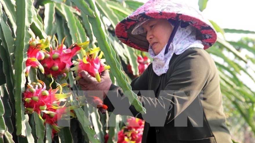 Agricultural sector likely to achieve growth target this year