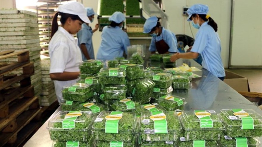 Agriculture sector targets 3% annual growth by 2020