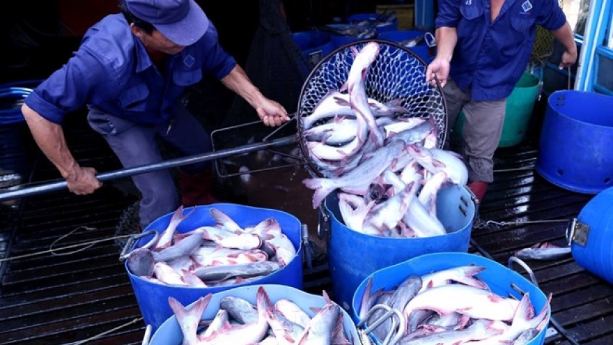 Agro-forestry-fishery exports rise 9.3% in nine months