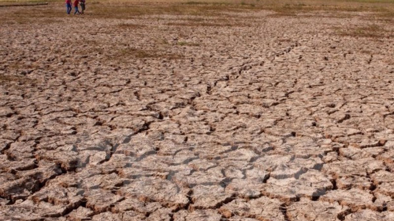 Aid package helps localities cope with drought, saline intrusion
