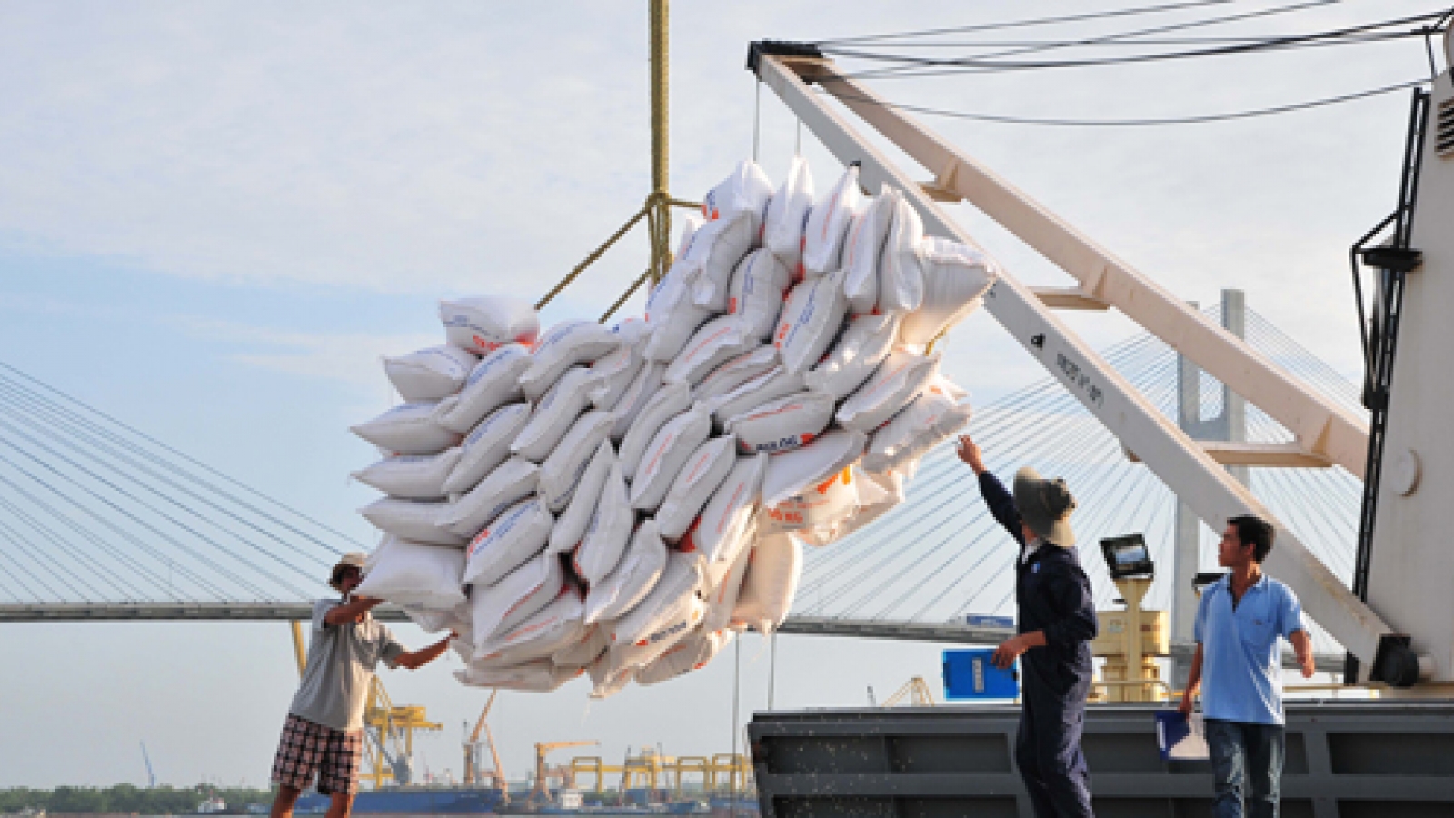 Exports to Algeria up 16%