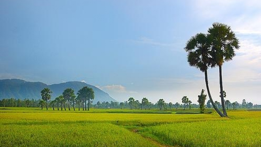 An Giang develops local agricultural brand names