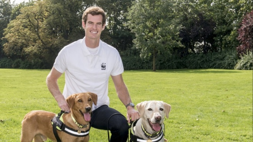 Tennis star Andy Murray signs WWF petition to end wildlife trade in Vietnam