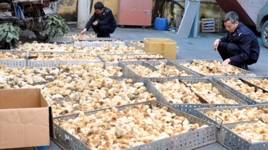 Vietnam spends nearly US$3 million on animal imports