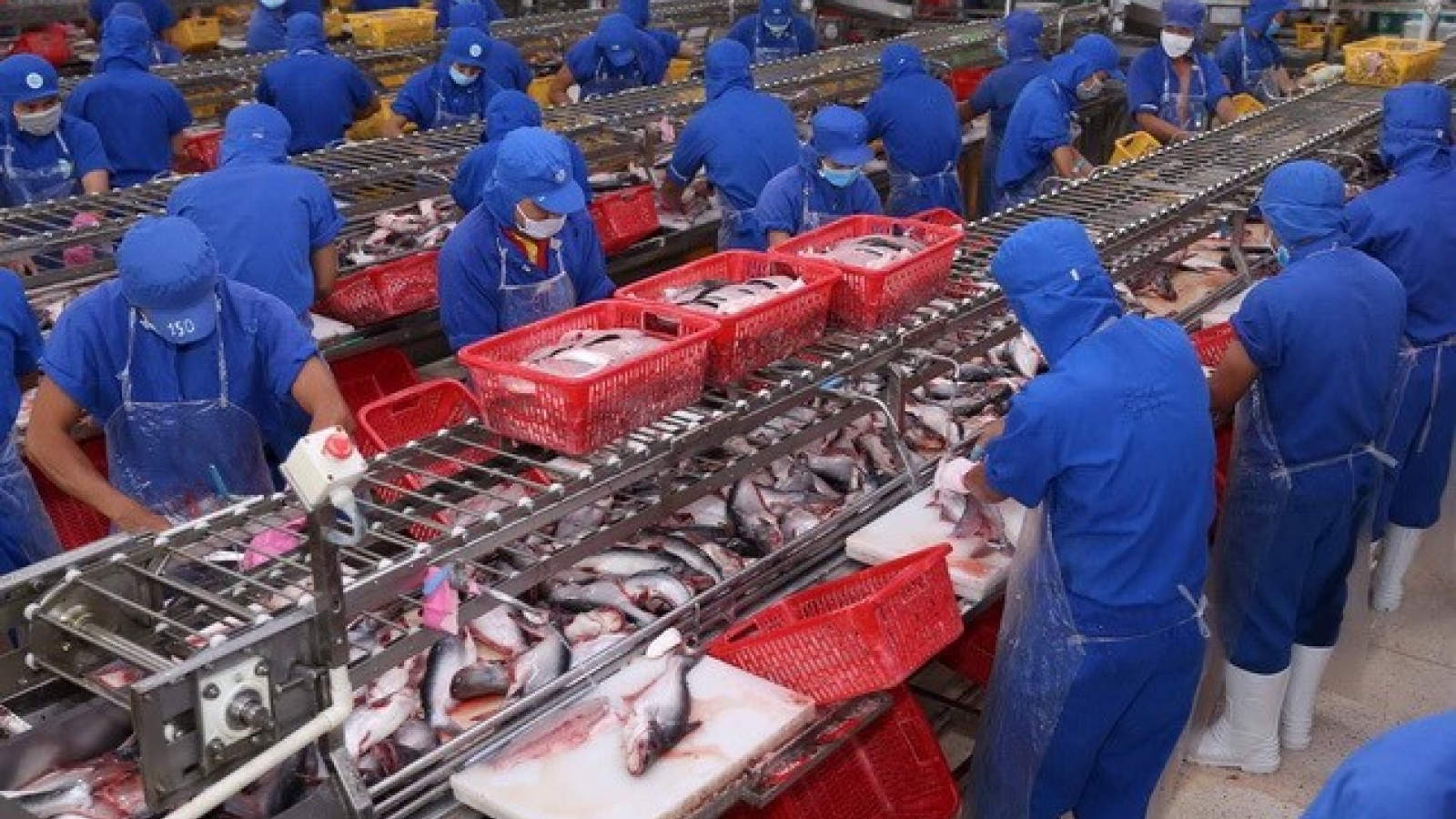 Aquatic export enjoys 29.5% growth in Jan-Feb