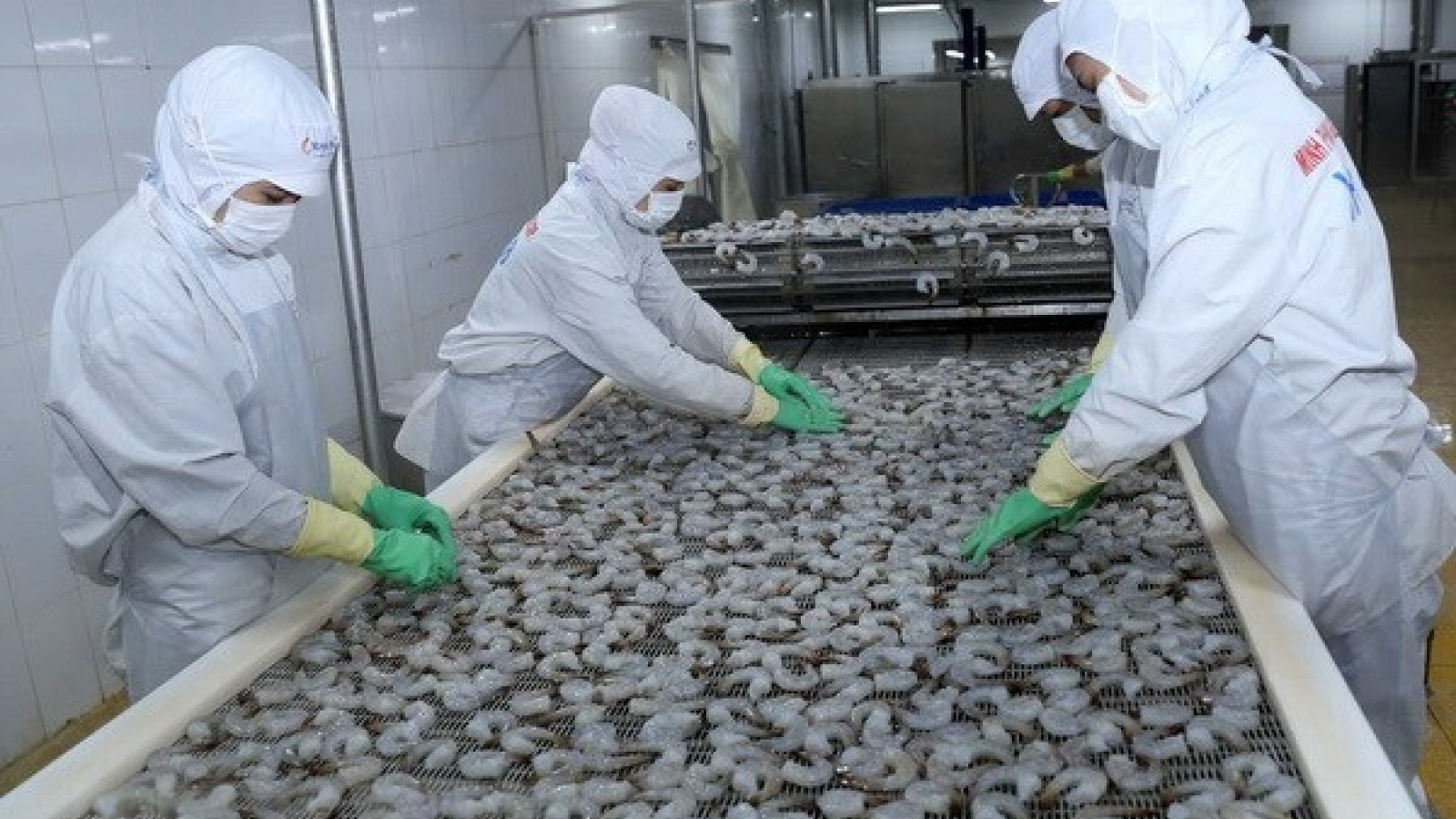 Aquatic export up 11.5% in first quarter