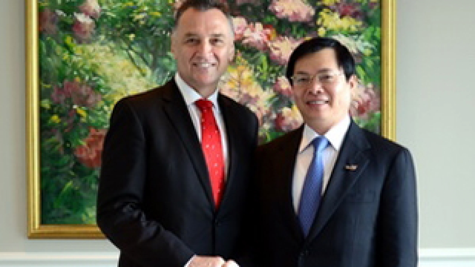 Vietnam, Australia launch joint medical research programme
