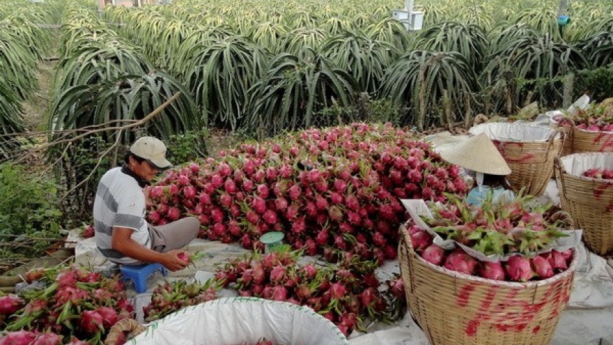 Australia helps Vietnam with agricultural development