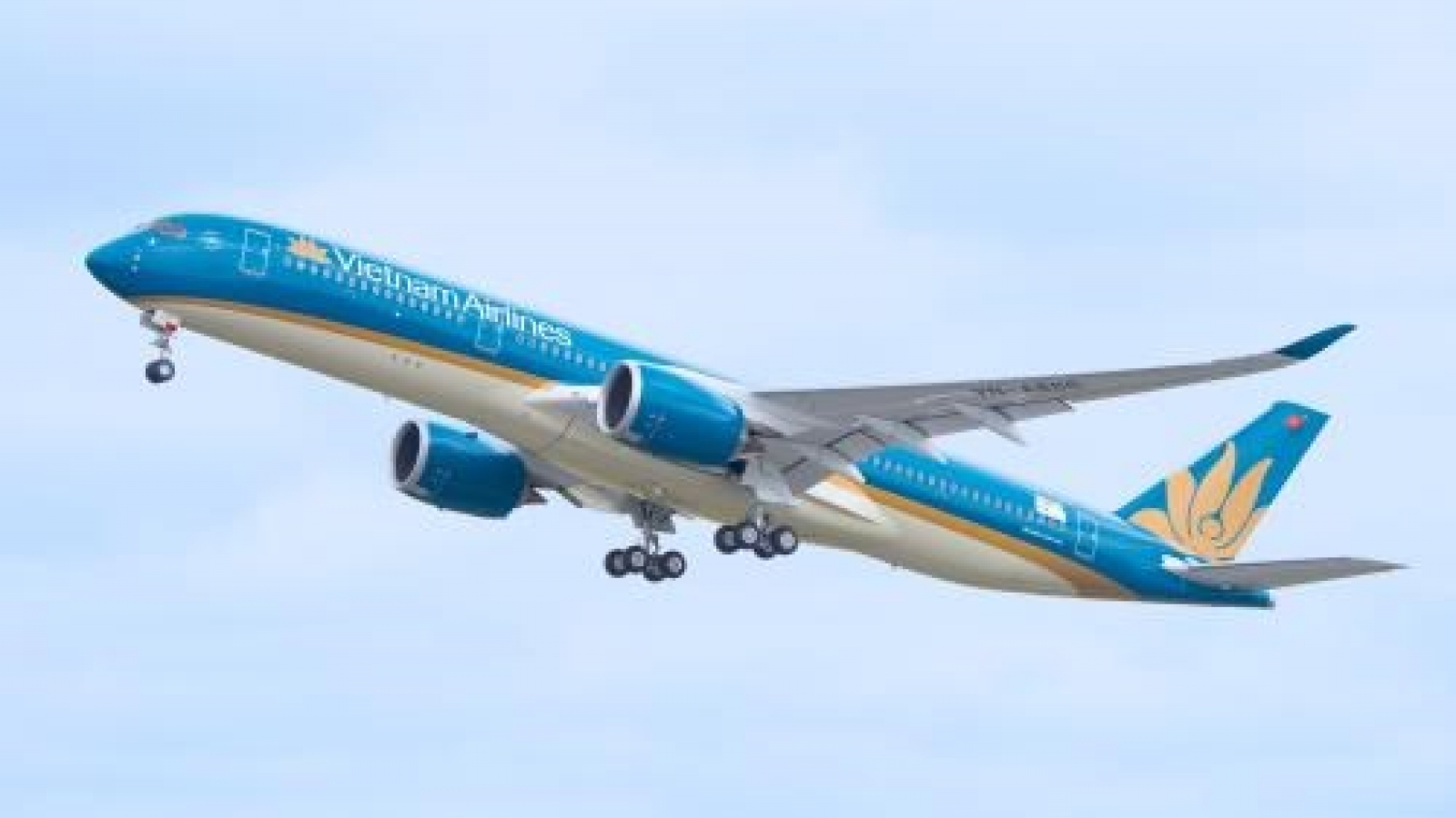 Aviation sector in dire need for hi-tech personnel