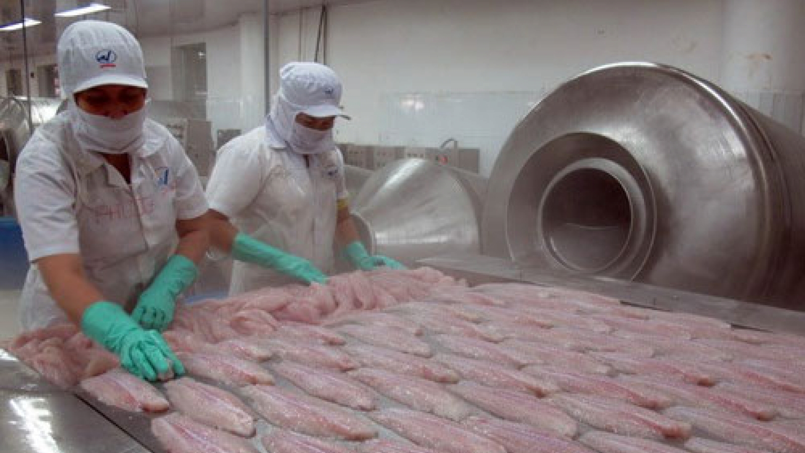 Vietnam leads in fish fillet export to Brazil