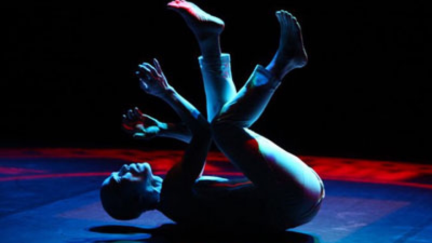 Japanese Butoh dance master to visit Vietnam