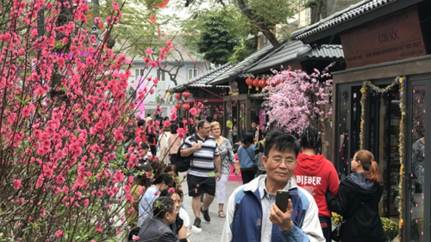 Hanoi rolls out book street for Tet holiday