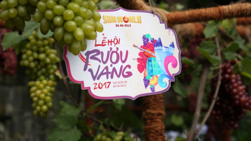 Hundreds travel to annual wine festival in Danang