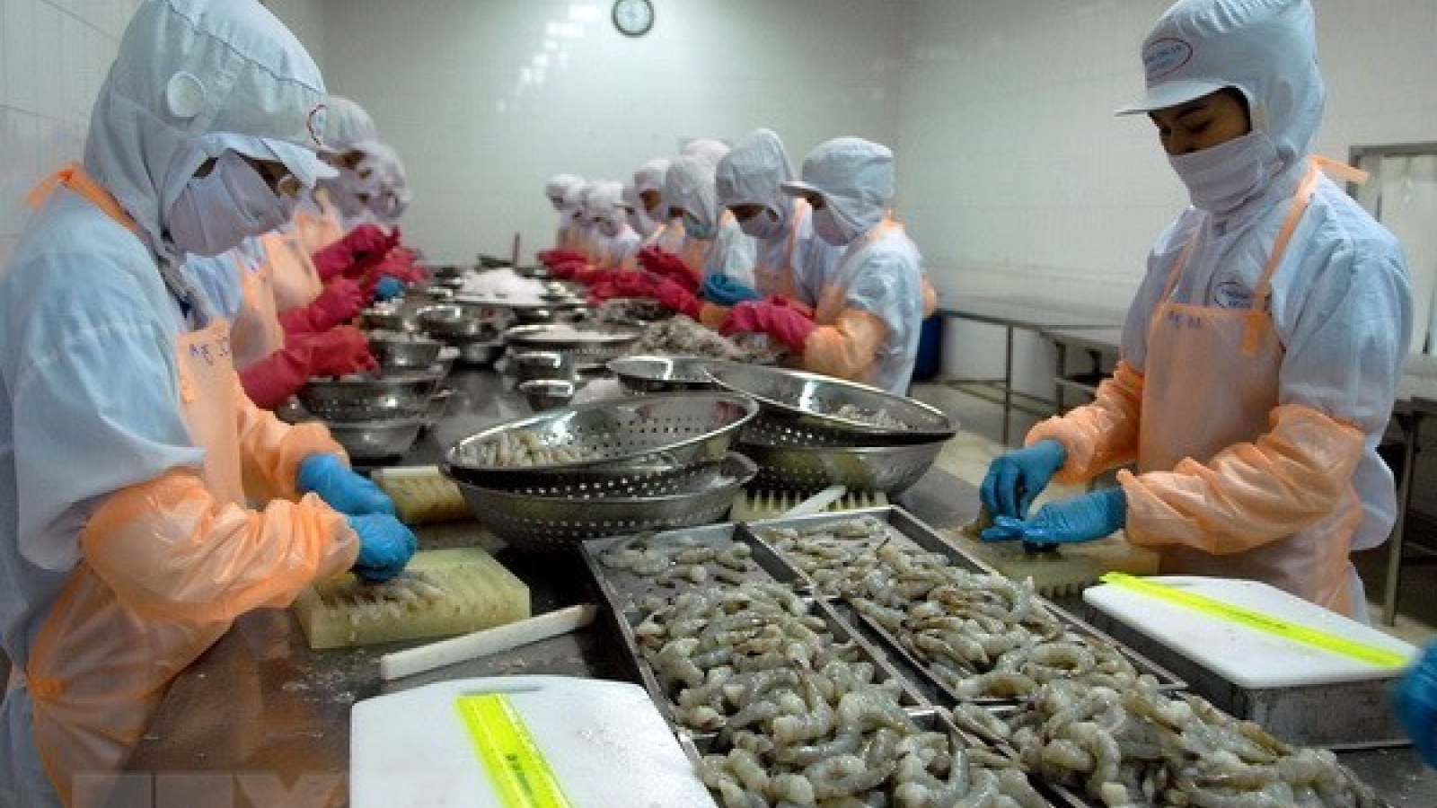 Ba Ria-Vung Tau seeks to tackle investment hindrances