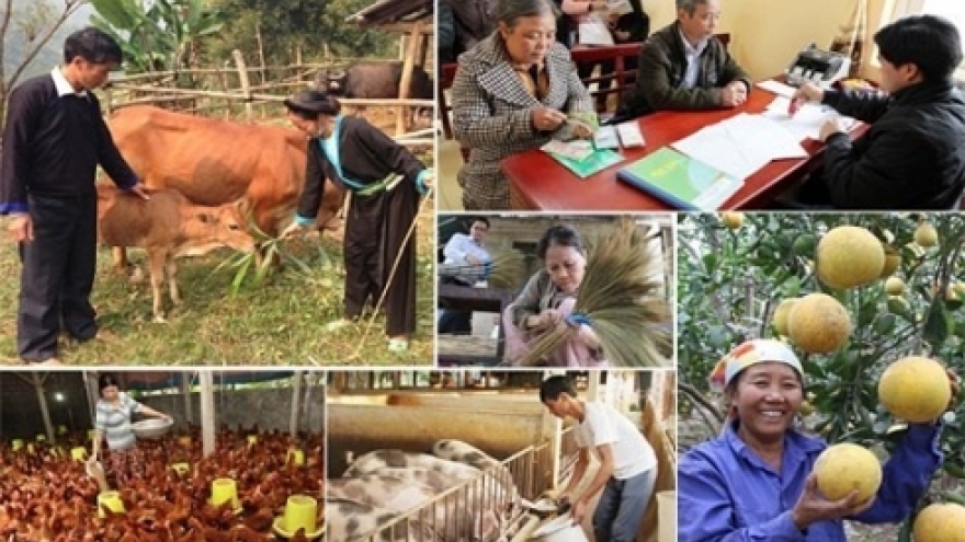 
        Spotlight falls on Vietnam’s poverty reduction rate
                              