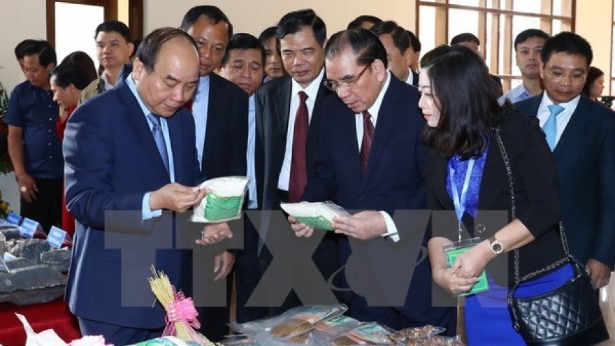 Bac Kan teems with mining potential: Prime Minister