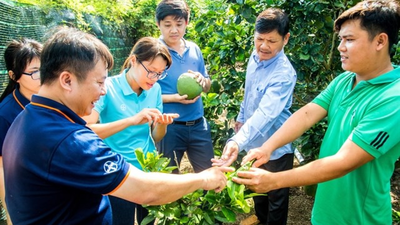 Bayer Agricademy trains fruit, coffee farmers