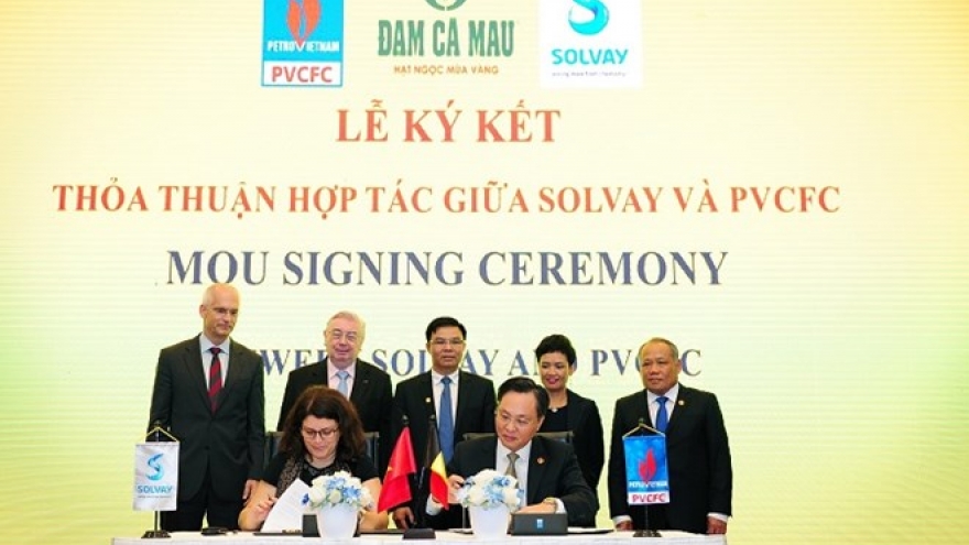 Vietnamese, Belgian firms cooperate in producing high-quality urea