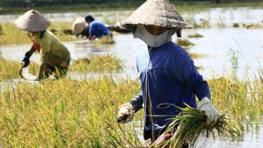 IFAD funds Ben Tre climate change adaptation project