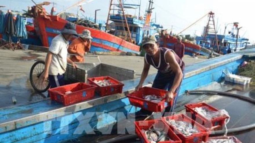 Ben Tre works hard to curb illegal fishing