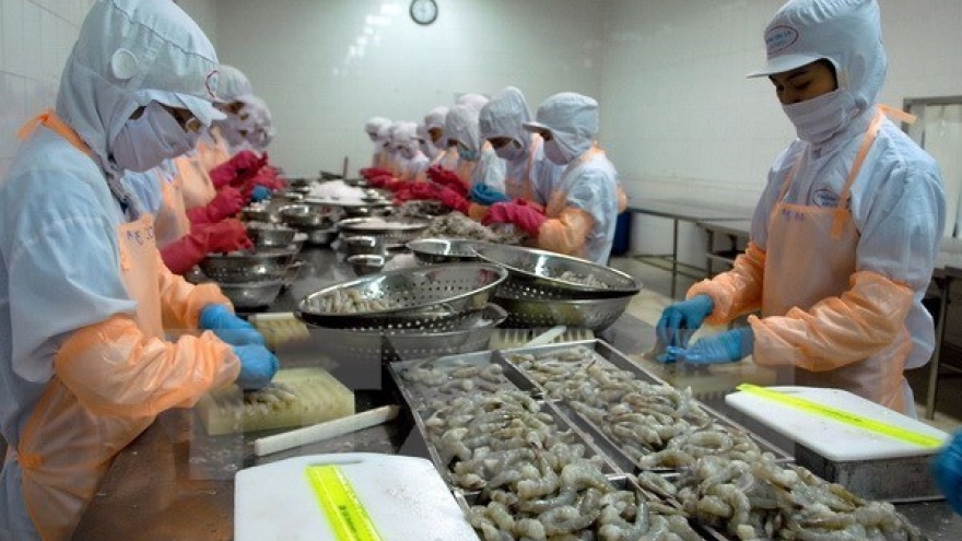 Binh Dinh works on hi-tech shrimp farming to raise export value