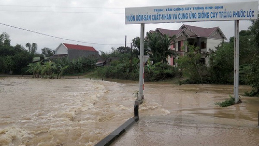Binh Dinh distributes rice to natural disaster victims