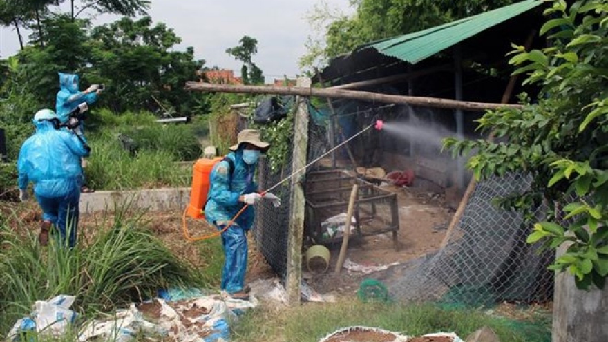 Bird flu detected in Phu Yen province