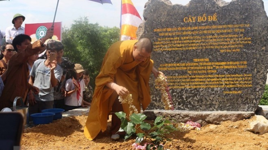 Sri Lanka’s Bodhi tree planted at Tam Chuc Pagoda