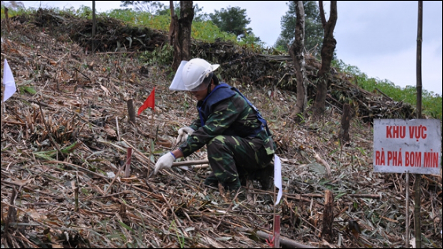 Bomb and mine clearance project underway